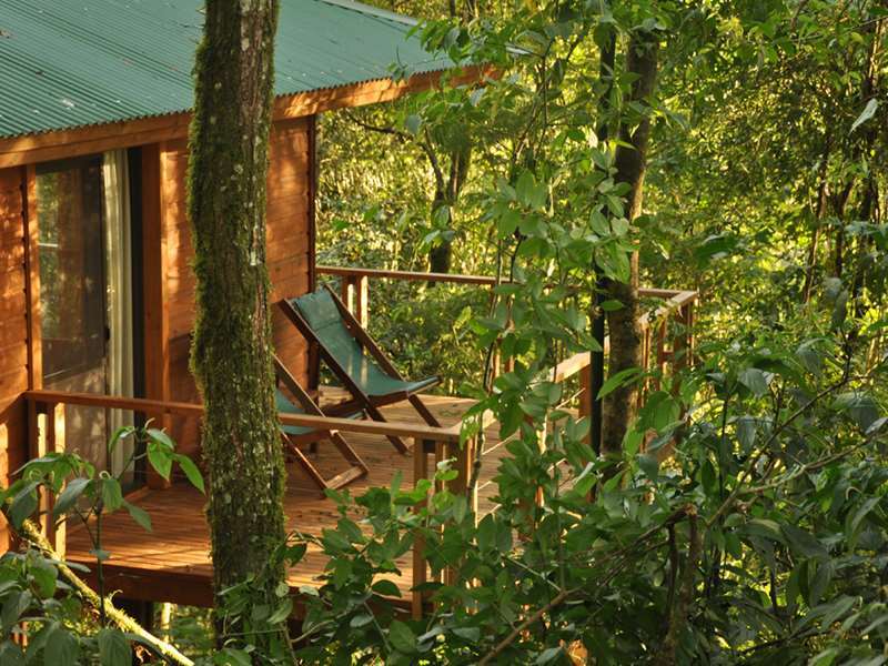 Mocona Virgin Lodge Saltos del Moconá Bekvämligheter bild